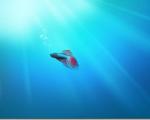 Windows 7 Beta Build 6936 Default Desktop Wallpaper